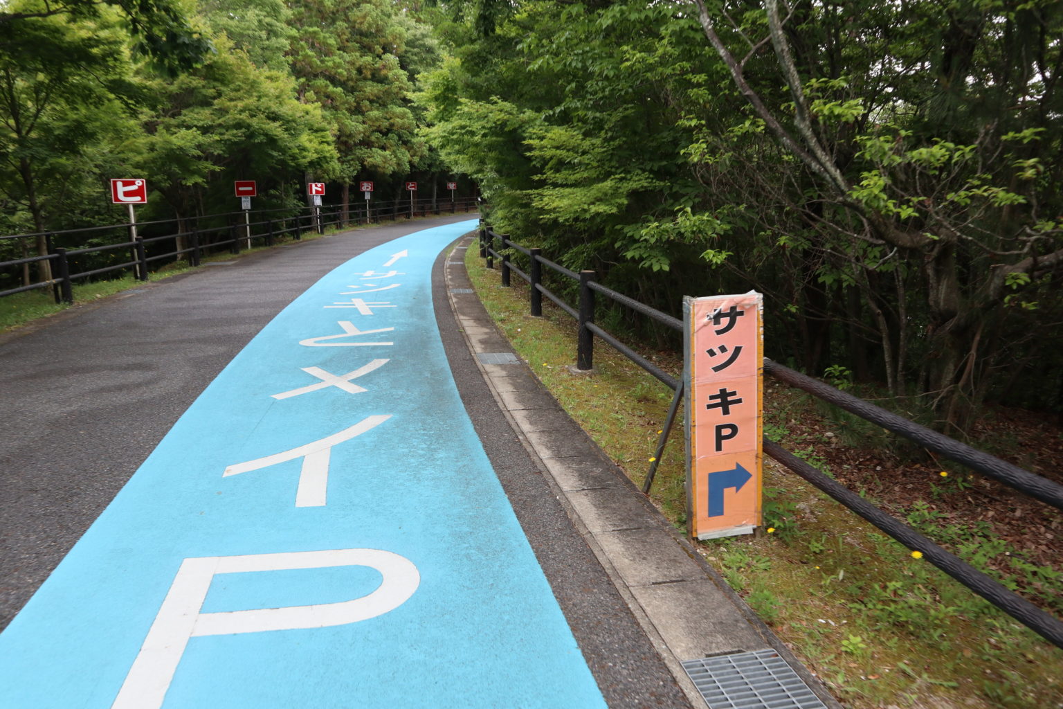 となりのトトロ 自転車 三人乗り